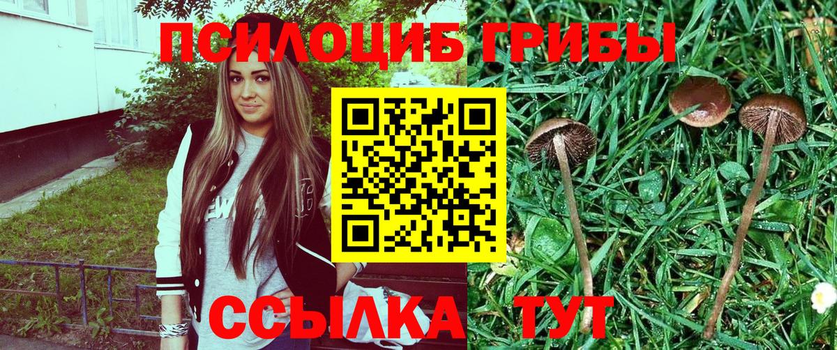 Галлюциногенные грибы GOLDEN TEACHER Ахтубинск