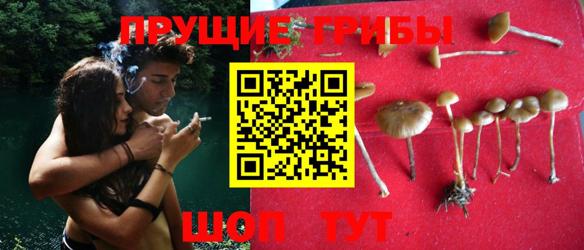 Псилоцибиновые грибы Magic Shrooms  Вход с VPN  Ахтубинск 